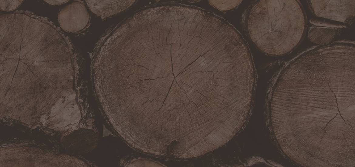 01_home-1-slide-1.jpg