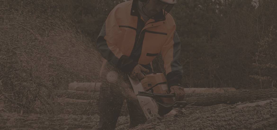 01_home-1-slide-3.jpg